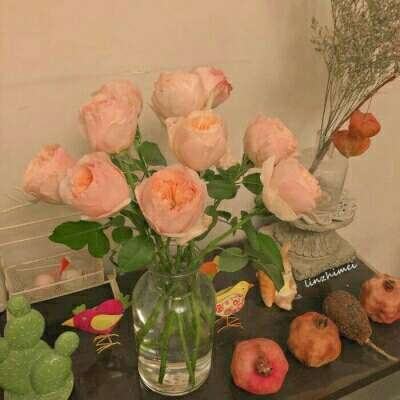 澳门·新甫京娱乐娱城手机app下载