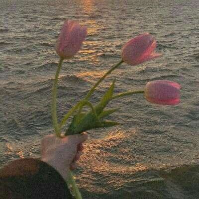 永盈会手机版下载手机版